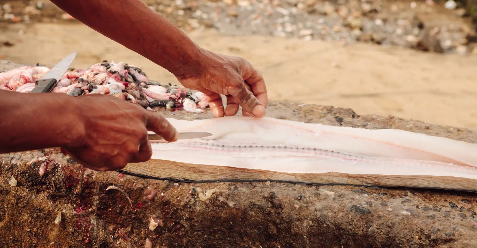 Fisherman preparing the daily catch